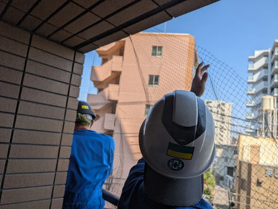 鳩ネット取付