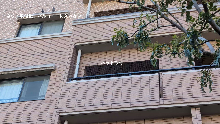 マンションの鳩ネット施工