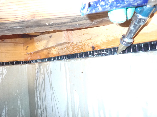 シロアリ予防施工