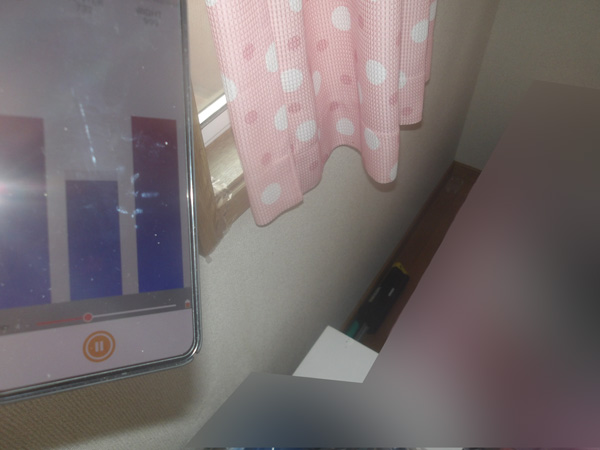 蟻道形成のない駆除案件